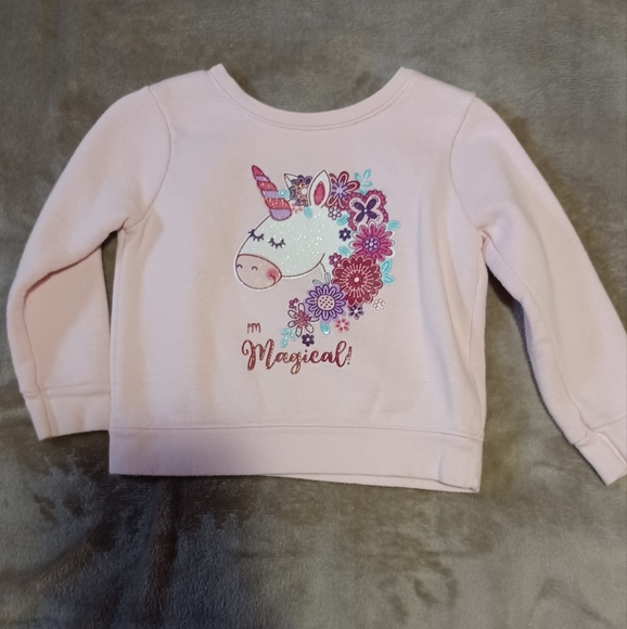 Garanimals Other - Toddler girls sweat shirt